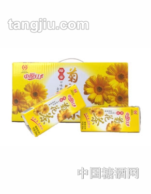 中原红菊花茶