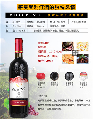 智利原瓶进口葡萄酒