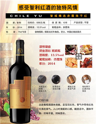 智利原瓶进口葡萄酒