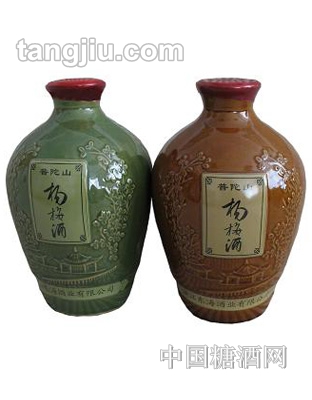 普陀山杨梅酒照（白底）瓷坛1500ml