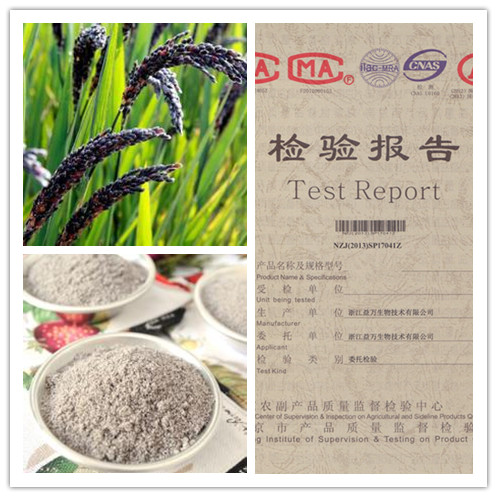 膨化黑米粉厂家直销