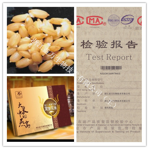 发芽糙米