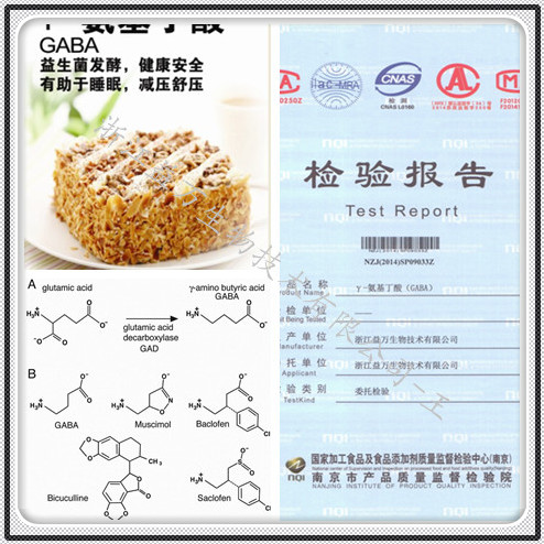 伽马氨基丁酸