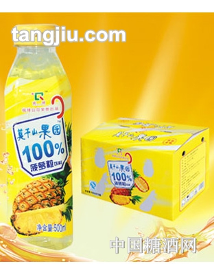 莫干山果园99%菠萝粒饮料500ml