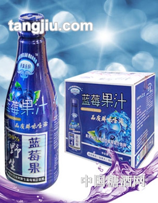 统球蓝莓果汁饮料1.25L