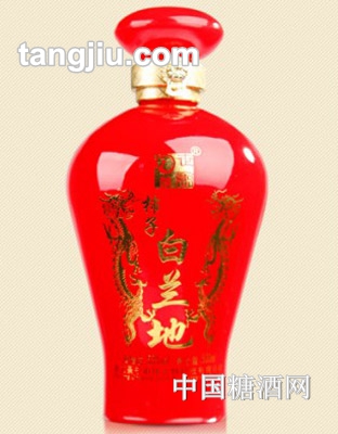世畲醇柿子白兰地53度500ml