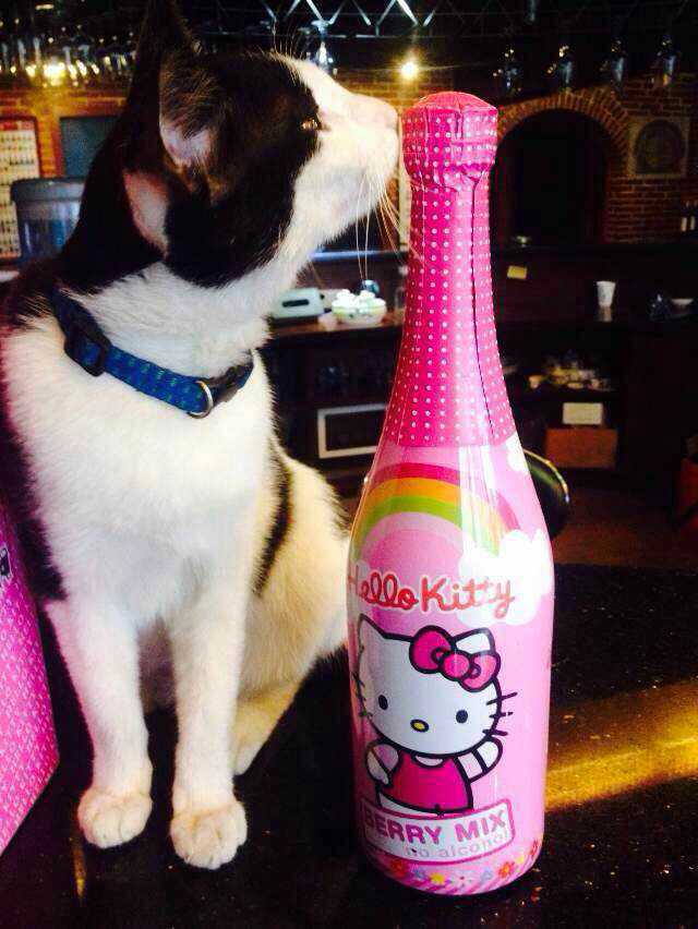 供应HelloKitty起泡酒