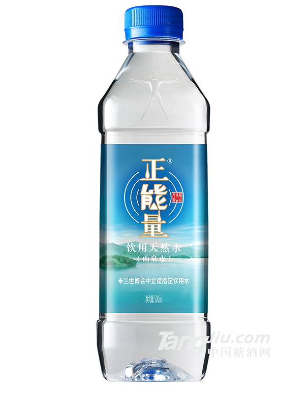 正能量-500ml支装水