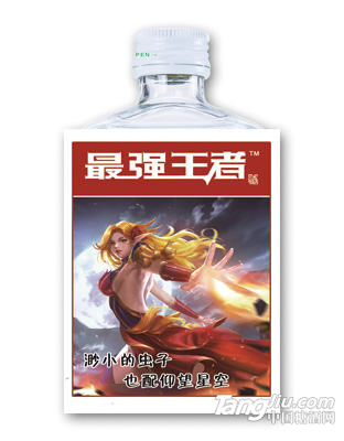 游戏小酒7（正）