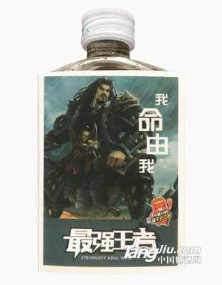 游戏小酒15