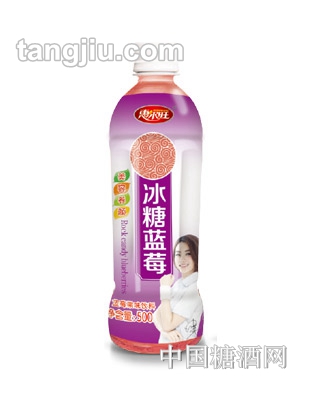 惠尔旺冰糖蓝莓果味饮料500ml