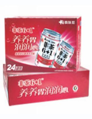 经典6+1外箱（24
