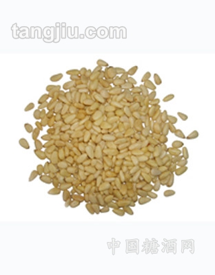松子仁