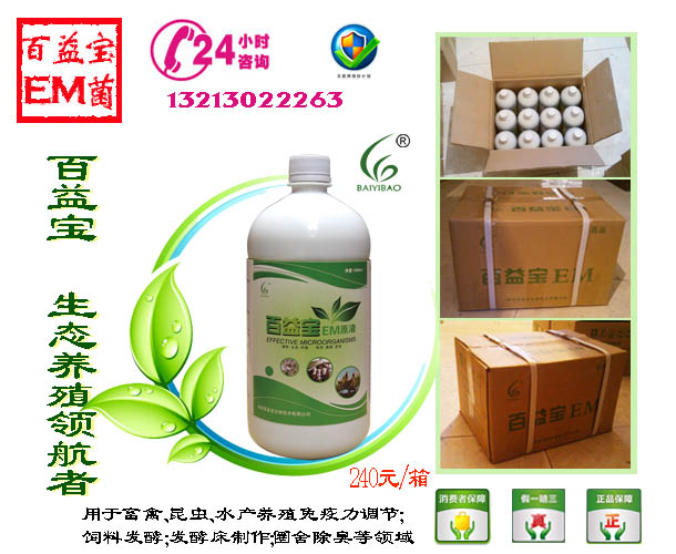 em养殖菌液在乳牛养殖中的应用