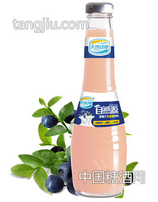 340ml蓝莓乳酸菌