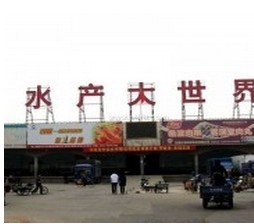 供应3008老鸡翅，鸡爪，鸡锁骨