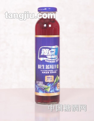 雅点蓝莓果汁310ml