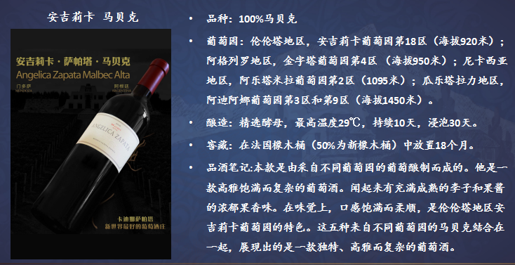 安吉莉卡.jpg