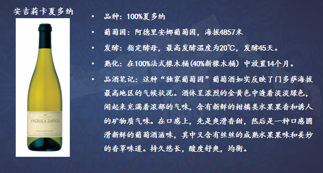 安吉莉卡夏多纳.png