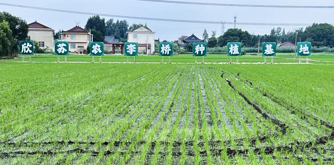 扬州金优农业发展有限公司|第十五届南京食品饮料展览会