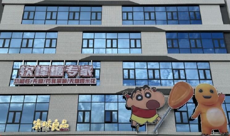 第113届全国糖酒会展商风采——广东赛味良品食品有限公司