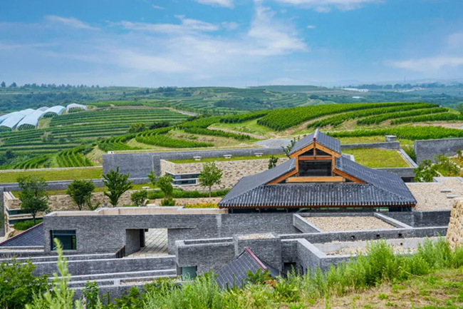 烟台，让世界微醺！烟台葡萄酒展团重返Wine to Asia