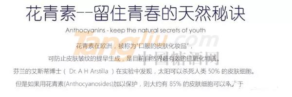 640.webp (10).jpg