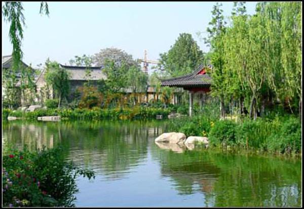 山东国际糖酒会24.jpg