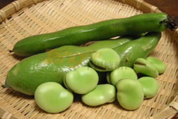 蚕豆 (1).jpg