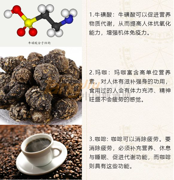 新启源638.png