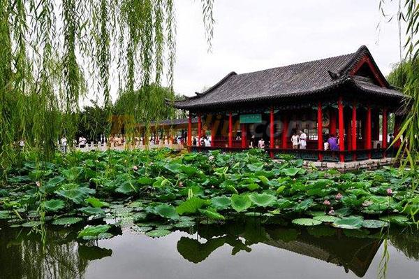 2019第十三届山东国际糖酒会周边旅游景点推荐——大明湖.jpg