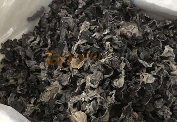 食品饮料招商 (3).jpg