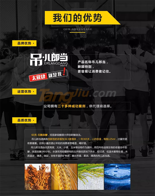 安徽省一当酒业有限公司569.png