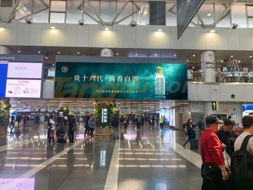 贵十六代 (1).jpeg