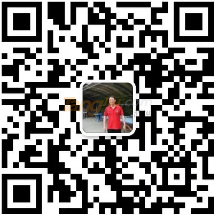清瓷梧桐西凤酒 (5).png