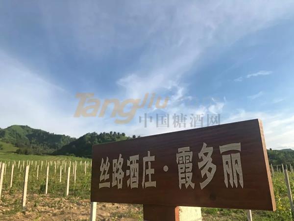 成都糖酒会14.jpg