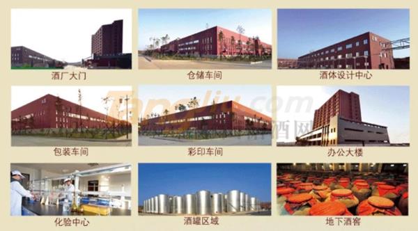 中贸酒博会1.jpg