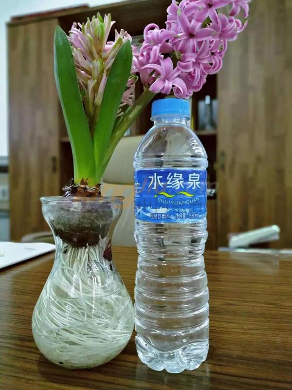 安徽食博会5.jpg