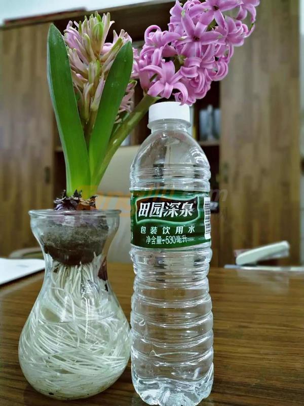 安徽食博会6.jpg