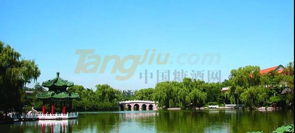 中贸酒博会2.jpg