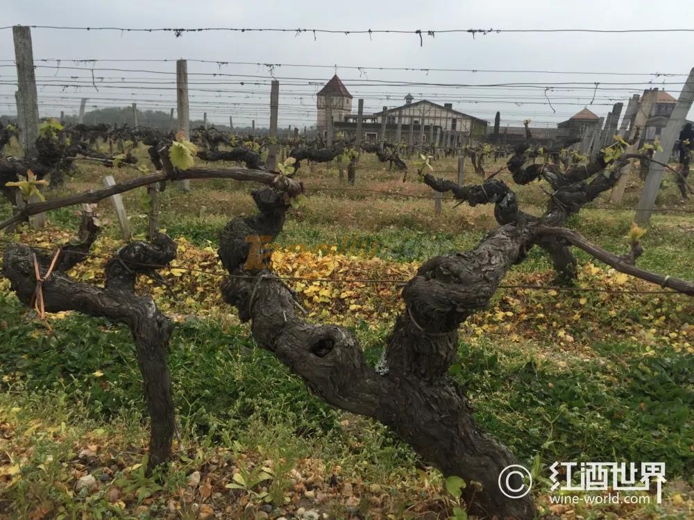 微信图片_20210510110200.jpg