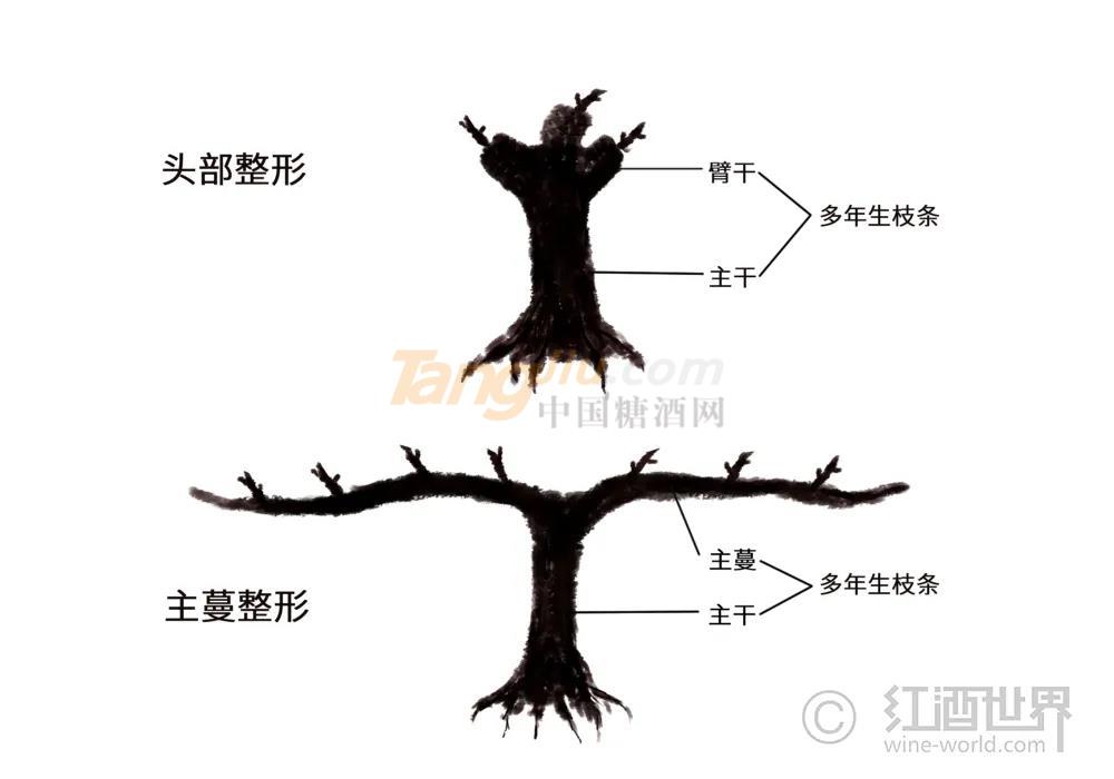微信图片_20210510110250.jpg