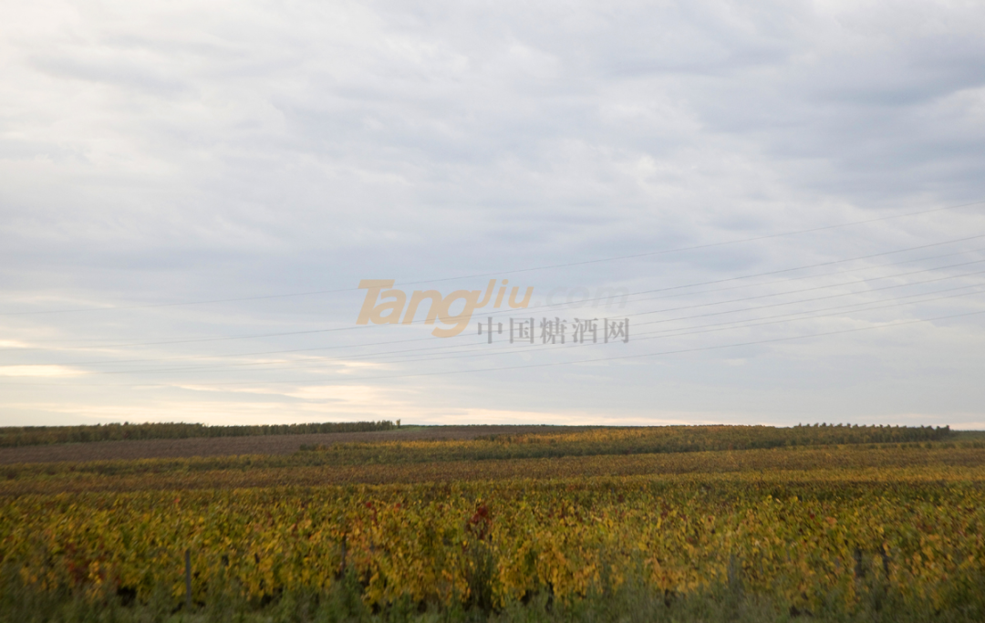 微信图片_20210513110343.png