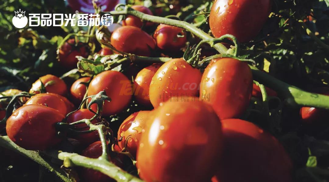 微信图片_20210521113211.jpg