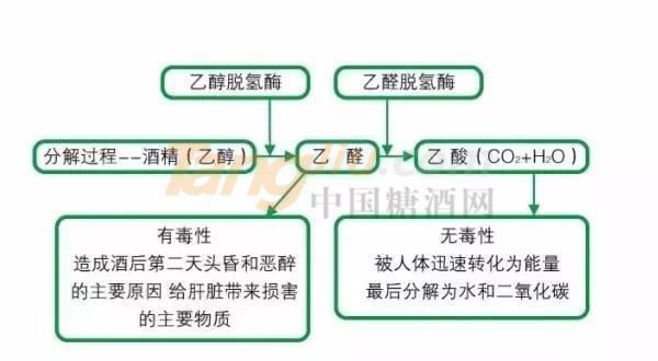 微信图片_20210714092239.jpg