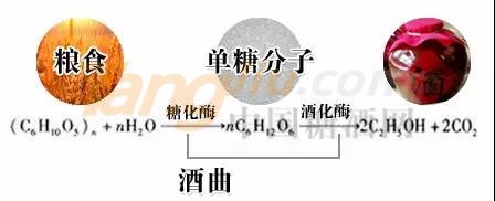 微信图片_20210715094521.jpg