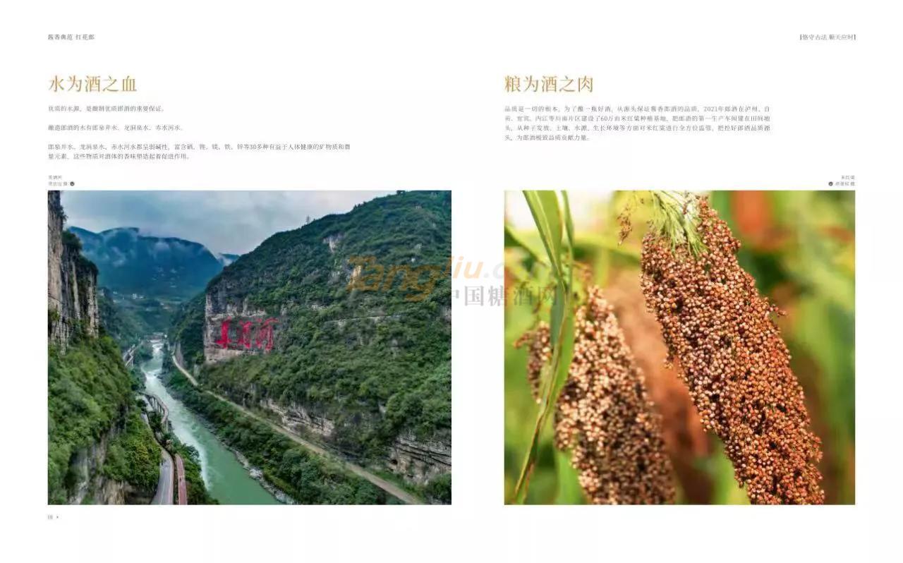 微信图片_20211206144218.jpg