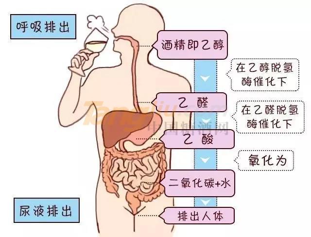 微信图片_20220217095020.jpg