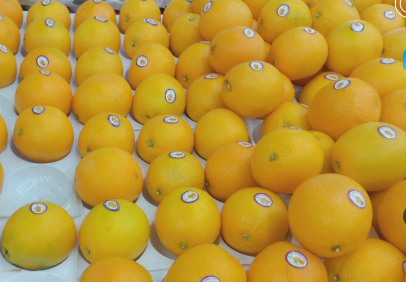 640 (1).png 640 (1).png